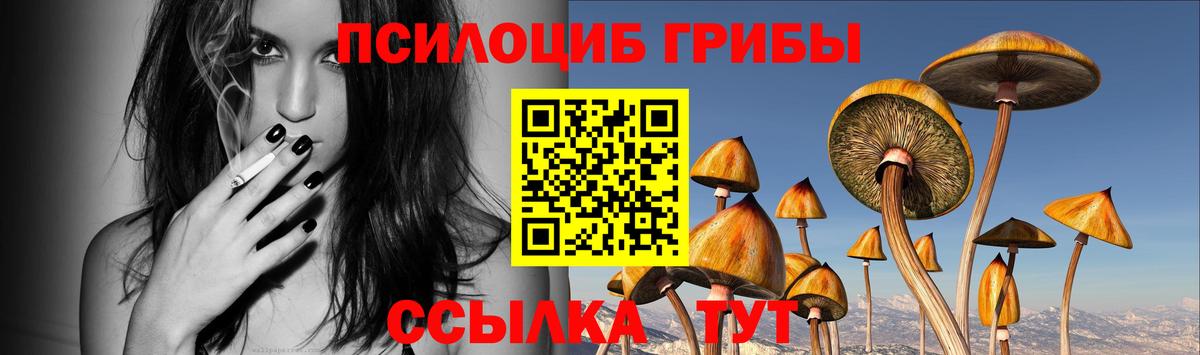 Мурино  Псилоцибиновые грибы ЛСД  Вход с VPN  Галлюциногенные грибы Psilocybe 