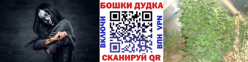 МАРИХУАНА ГИДРОПОН Мурино